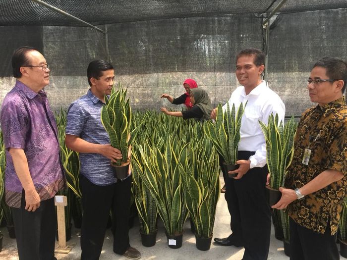 Foto: kementan Foto: kementan