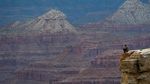 Foto: Keindahan Grand Canyon yang Mematikan