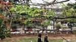 Menikmati Akhir Pekan di Taman Ria Rio