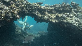 Great Barrier Reef, Australia. (Foto: Mark Kolbe/Getty Images for Tourism Queensland)