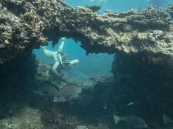 Weekend Cuma di Rumah? Yuk Jalan-jalan via Google Maps