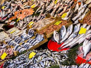 Pemkab Bantul Wajibkan Acara Resmi Suguhkan Menu Ikan Tiap Senin