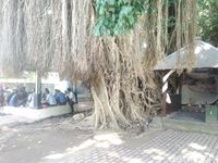 (Harianto/detikTravel)