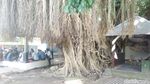 Foto: Tradisi Unik Ziarah Makam Loang Baloq