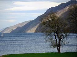 Weekend Cuma di Rumah? Yuk Jalan-jalan via Google Maps