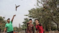 Tak hanya itu, Taman Ria Rio juga menjadi tempat berkumpulnya komunitas pecinta burung untuk melatih burung mereka di taman tersebut.