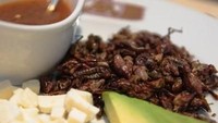 Belalang aman dikonsumsi, lho. Banyak juga orang Indonesia yang suka dengan belalang goreng. Kabarnya belalang punya rasa yang lezat. Di Meksiko sendiri konsumsi belalang merupakan hal biasa, di sana namanya chapulines. Foto: Istimewa