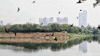 Berlokasi di Jakarta Timur, Taman Ria Rio diciptakan untuk menjadi tempat beraktivitas dan berekreasi bagi warga Jakarta.