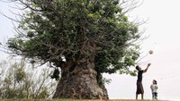Di akhir pekan, Taman Ria Rio banyak disinggahi oleh para keluarga untuk sekadar bermain atau berekreasi dan menikmati pemandangan Waduk Ria Rio.