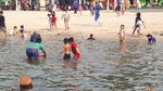 Melihat Wujud Ubur-ubur yang Muncul di Pantai Ancol