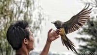 Waduk Ria Rio kini menjelma menjadi salah satu pilihan bagi warga Jakarta untuk berekreasi yang tak melulu harus di pusat perbelanjaan dan mal.