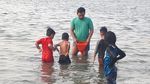 Melihat Wujud Ubur-ubur yang Muncul di Pantai Ancol