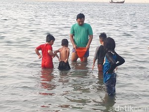 LIPI: Ubur-ubur di Ancol Karena Perubahan Pola Arus Laut