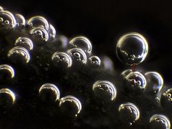 Seperti Pakai Mikroskop, Deretan Foto Mikro Ini Bikin Ngeri