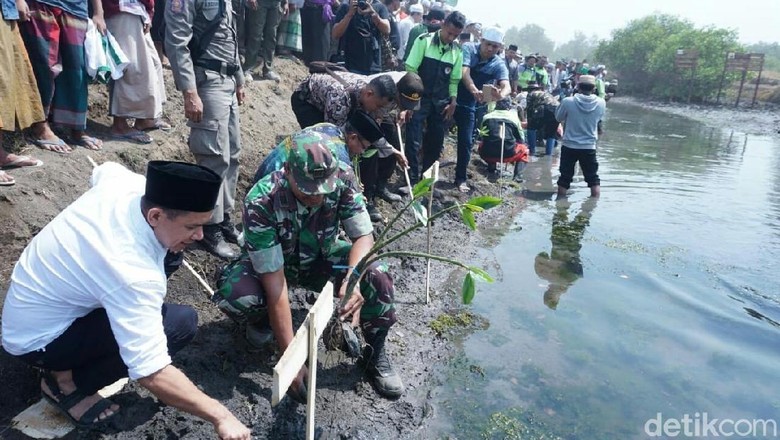 Sambut Hari Santri, Ribuan Santri Situbondo Tanam 10 Ribu 