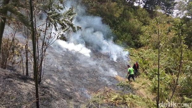 Hutan Gunung Merbabu Sisi Barat Terbakar, Api Belum Padam