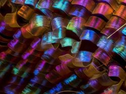 Seperti Pakai Mikroskop, Deretan Foto Mikro Ini Bikin Ngeri