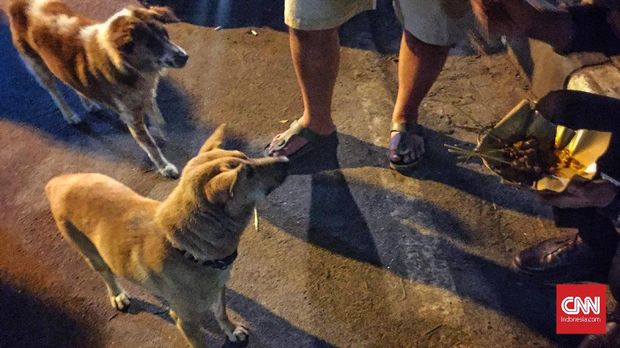 Menjelma Jadi Hipster Akhir Pekan di Canggu