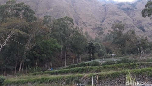 Kebakaran hutan di Gunung Abang dipadamkan (Polres Bangli)