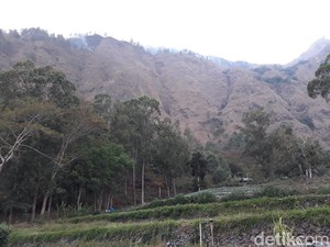 Api di Lereng Gunung Abang Bali Berhasil Dipadamkan