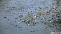 Aliran kanal terlihat banyak sampah-sampah berserakan.