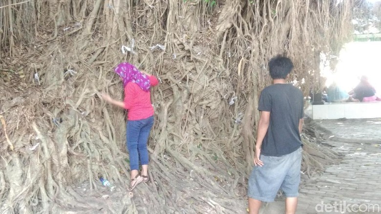 Mengikat tali plastik ke akar pohon beringin di Loang Baloq Mataram (Harianto Nukman/detikTravel) Mengikat tali plastik ke akar pohon beringin di Loang Baloq Mataram (Harianto Nukman/detikTravel)