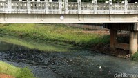 Tumpukan sampah sepanjang aliran tersebut mulai terlihat membentuk pulau-pulau kecil.