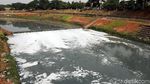 Kondisi Kanal Banjir Timur Kian Memprihatinkan
