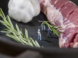 Deretan Foto Ilusi Mikroskopis yang Unik dan Keren