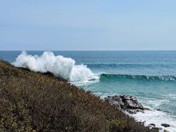 Google Pamer Jepretan Kamera Pixel 3