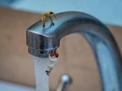 Deretan Foto Ilusi Mikroskopis yang Unik dan Keren