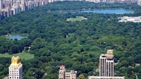 Amerika Serikat punya banyak ruang publik yang asyik buat bersantai, salah satunya Central Park New York (William Edwards/AFP)