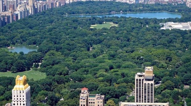 central park