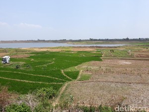 Lahan HGU Bisa Dikelola sampai 60 Tahun