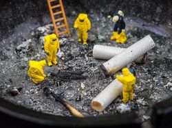 Deretan Foto Ilusi Mikroskopis yang Unik dan Keren