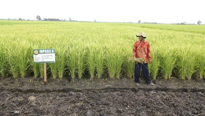 Kementan Pede RI Jadi Lumbung Pangan Dunia 2045