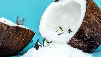 Peter pun memanfaatkan action figure berbentuk mungil untuk menjadi objek maupun pemanis di setiap foto-fotonya yang menggambarkan sebuah ilusi mikroskopis. Seperti foto ini yang berjudul Antarticoco. Istimewa/Boredpanda.