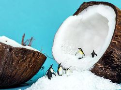 Deretan Foto Ilusi Mikroskopis yang Unik dan Keren