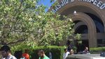 Foto: Khabib Nurmagomedov dan Masjid-masjid Dunia