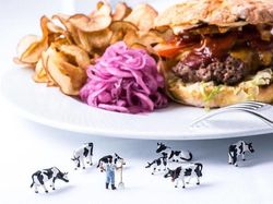 Deretan Foto Ilusi Mikroskopis yang Unik dan Keren