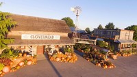 Foto: Selain kompetisi jenggot lebah, banyak aktivitas seru lainnya buat turis di Clovermead Adventure Farm (Clovermead Adventure Farm/Facebook)