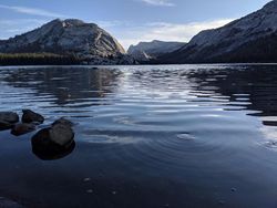 Google Pamer Jepretan Kamera Pixel 3