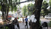 Kabel yang menjutai dililitkan ke batang pohon.
