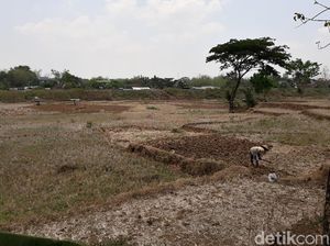 Mengais Rezeki dari Waduk Lalung Karanganyar yang Mengering