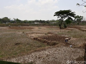 Mengais Rezeki dari Waduk Lalung Karanganyar yang Mengering