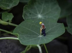 Deretan Foto Ilusi Mikroskopis yang Unik dan Keren