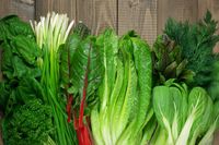 Sering Lupa dan Sulit Konsentrasi? Saatnya Perbanyak Konsumsi 5 Makanan Sehat Ini