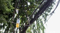 Beberapa botol air mineral menggantung di jaringan kabel.