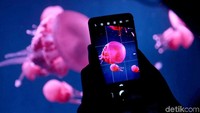 Wisatawan memotret koleksi ubur-ubur di Jakarta Aquarium (Agung Pambudhy/detikTravel)