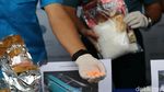 BNN Sita 14,6 Kg dan Puluhan Ribu Ekstasi